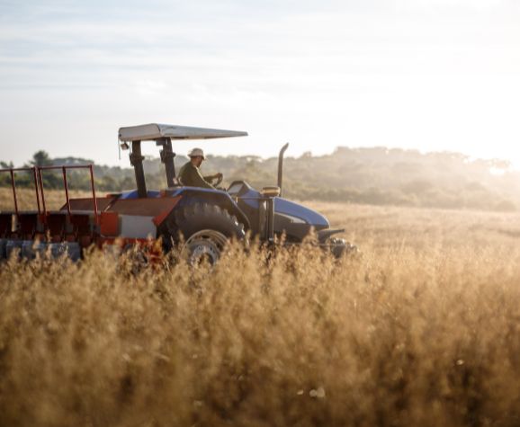 02/10/2024 Formación Riesgos Generales de la empresa y específicos del puesto de trabajo: Art.19 Operario agrícola (tractorista, podador, aplicador de fitosanitarios y recolección)